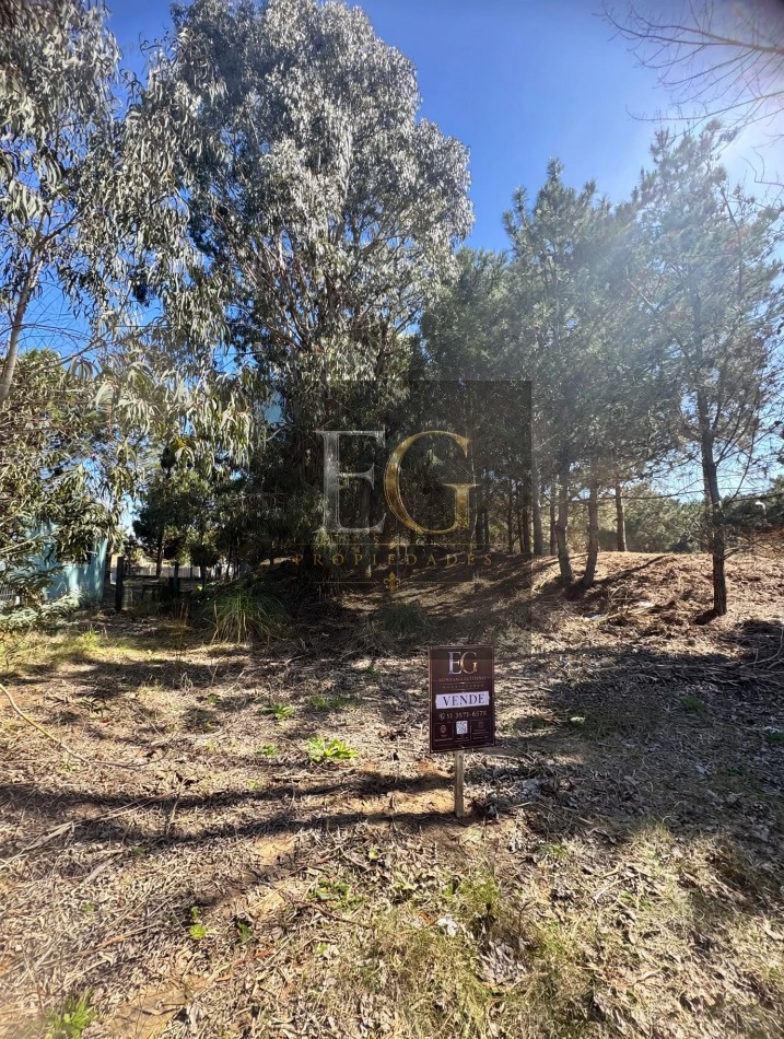 LOTE EN VENTA DE 1000M2 ARBOLADO EN CALLE 16 No 3.300-CHACRA 1- SAN BERNARDO SUR 