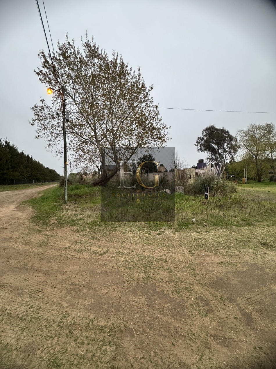 LOTE EN VENTA DE 456,44 M2, ESQUINA ALELIES Y AV 7 - COSTA DEL ESTE -
