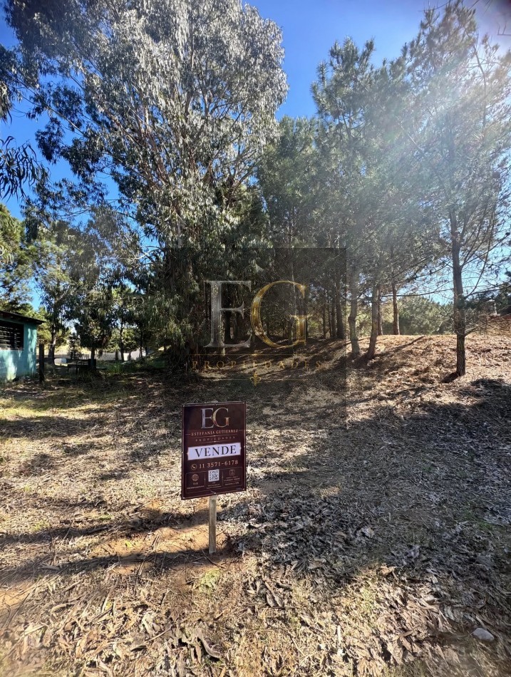 LOTE EN VENTA DE 1000M2 ARBOLADO EN CALLE 16 No 3.300-CHACRA 1- SAN BERNARDO SUR 