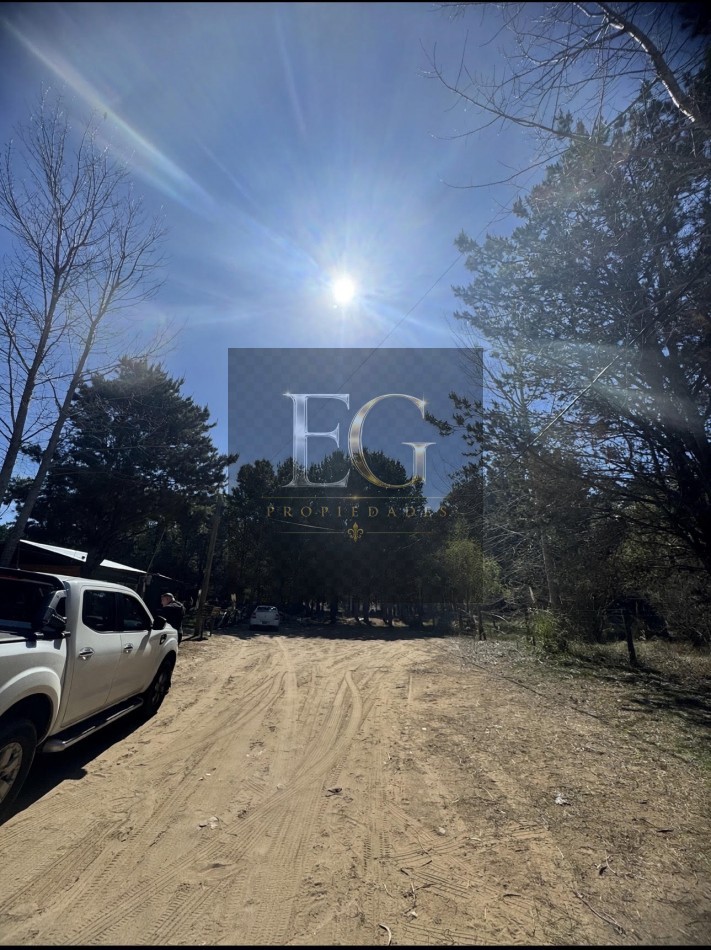 LOTE EN VENTA DE 1000M2 ARBOLADO EN CALLE 16 No 3.300-CHACRA 1- SAN BERNARDO SUR 