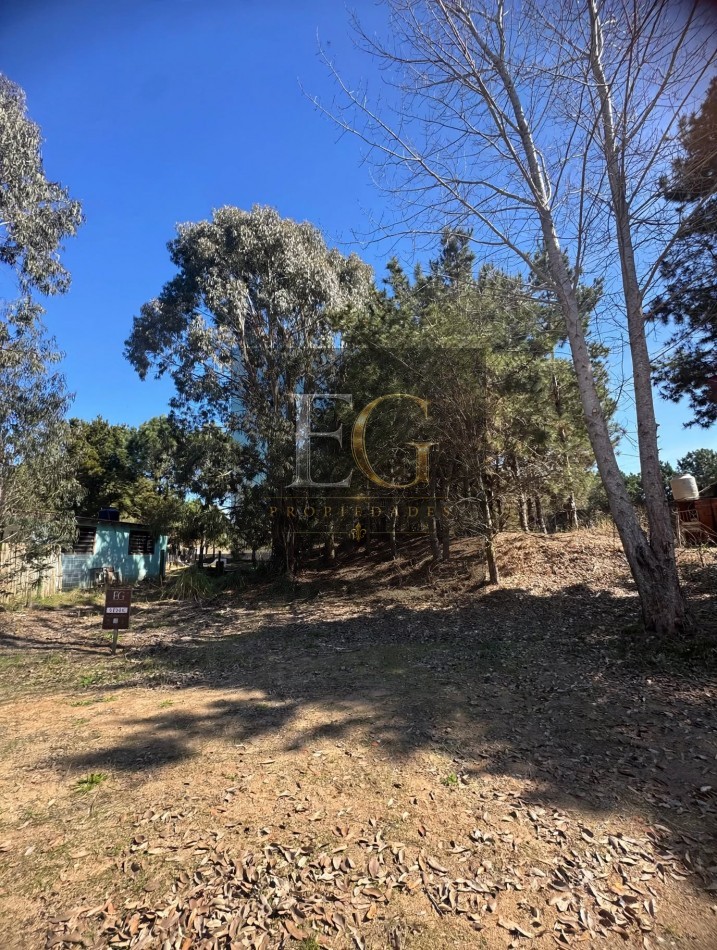LOTE EN VENTA DE 1000M2 ARBOLADO EN CALLE 16 No 3.300-CHACRA 1- SAN BERNARDO SUR 