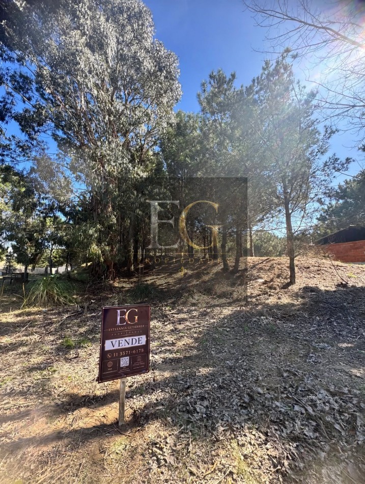 LOTE EN VENTA DE 1000M2 ARBOLADO EN CALLE 16 No 3.300-CHACRA 1- SAN BERNARDO SUR 