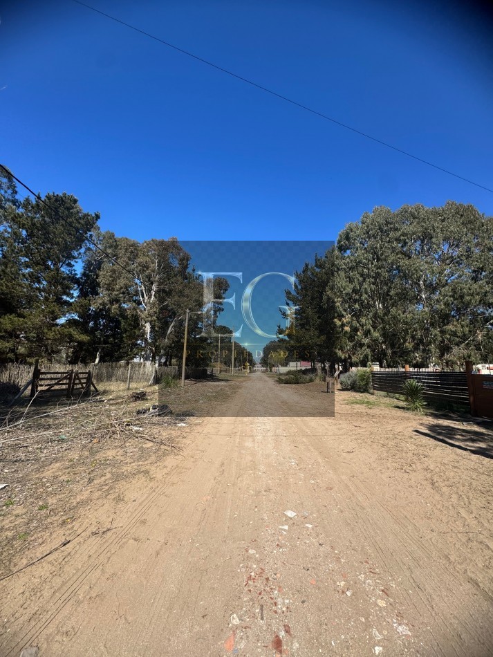 LOTE EN VENTA DE 1000M2 ARBOLADO EN CALLE 16 No 3.300-CHACRA 1- SAN BERNARDO SUR 