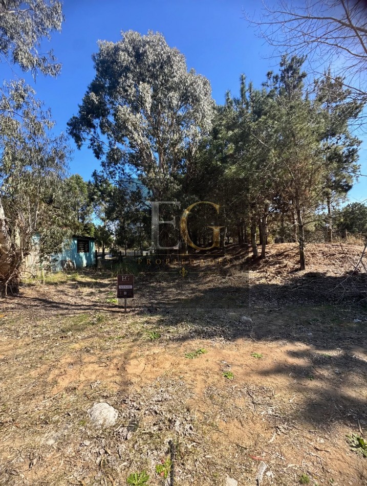 LOTE EN VENTA DE 1000M2 ARBOLADO EN CALLE 16 No 3.300-CHACRA 1- SAN BERNARDO SUR 