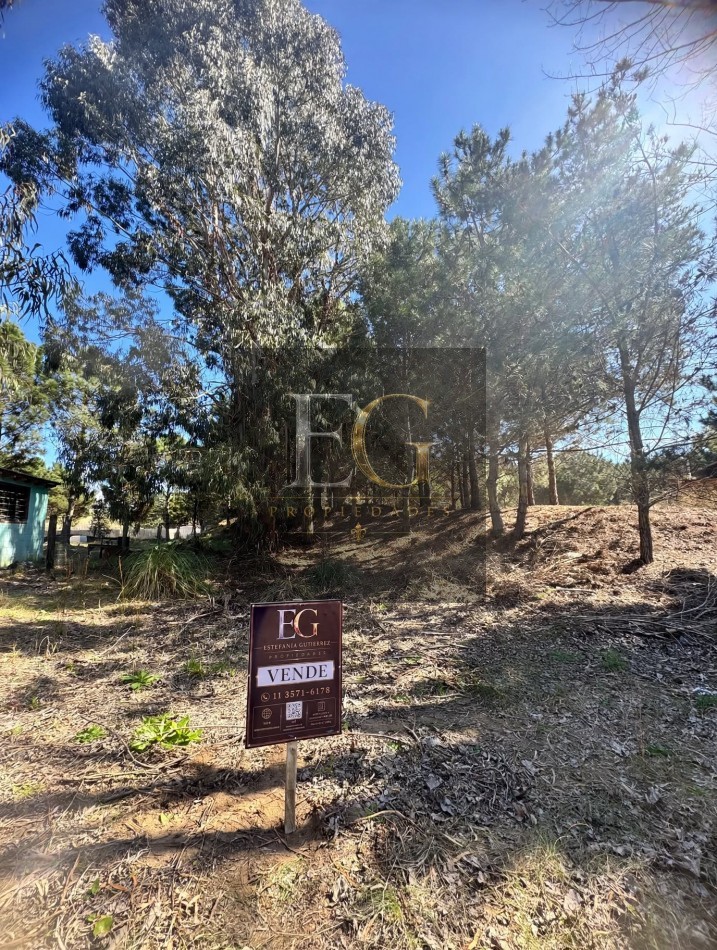 LOTE EN VENTA DE 1000M2 ARBOLADO EN CALLE 16 No 3.300-CHACRA 1- SAN BERNARDO SUR 