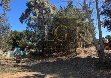LOTE EN VENTA DE 1000M2 ARBOLADO EN CALLE 16 No 3.300-CHACRA 1- SAN BERNARDO SUR 